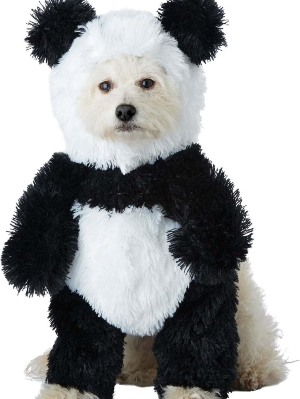 Panda Pooch Dog Costume Large